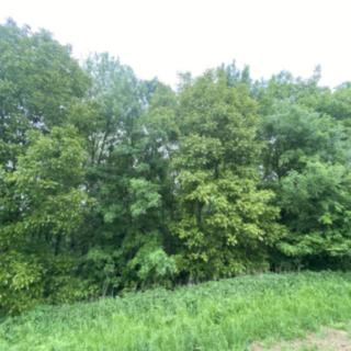 Prodej ostatního pozemku 380 m² Podolí