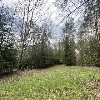 Prodej ostatních pozemků 5958 m&sup2; Volfířov