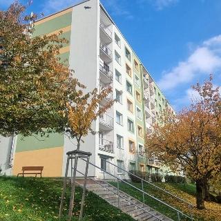 Prodej bytu 2+1 60 m² Jílové, Oblouková