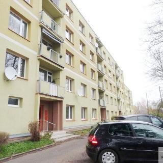 Prodej bytu 3+1 68 m² Jílové, Družstevní