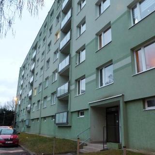 Pronájem bytu 1+1 35 m² Děčín, Školní