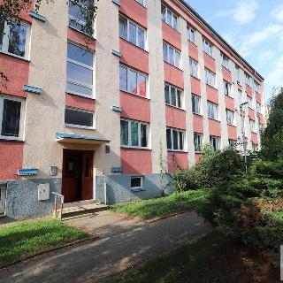 Pronájem bytu 3+1 66 m² Děčín, Kamenická