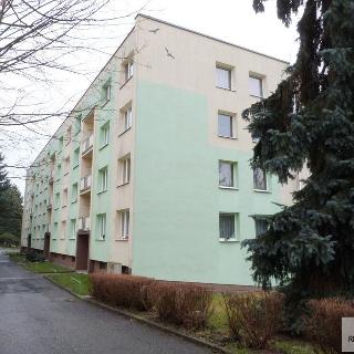 Pronájem bytu 1+1 43 m² Jílové, Spojová