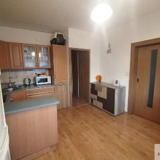 Pronájem bytu 1+1 35 m² Jílové, Mládeže