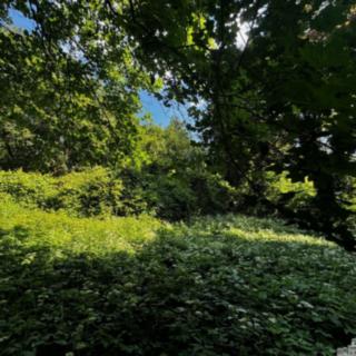 Prodej stavební parcely 7834 m&sup2; Roztoky