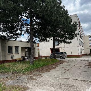 Prodej ostatního komerčního prostoru 11 341 m² Duchcov, Sadová