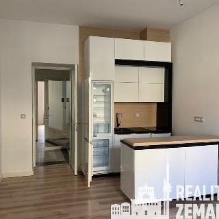 Pronájem bytu 2+kk 52 m² Praha, Lucemburská