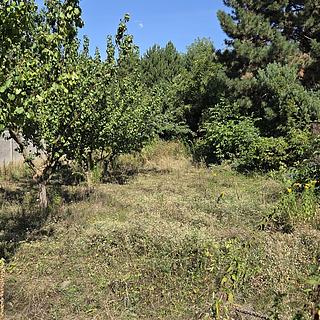 Dražba stavební parcely 721 m&sup2; Brno