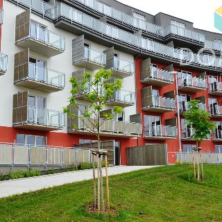 Pronájem bytu 1+kk a garsoniéry 33 m² Beroun, Nepilova