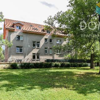 Pronájem bytu 1+kk a garsoniéry 31 m² Beroun, Tovární