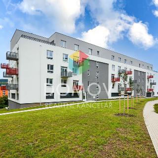 Pronájem bytu 2+kk 65 m² Beroun, Nepilova