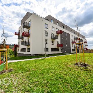 Prodej parkovacího místa 13 m² Beroun, Nepilova