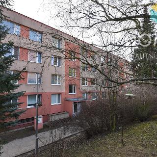 Pronájem bytu 2+kk 42 m² Beroun, Košťálkova