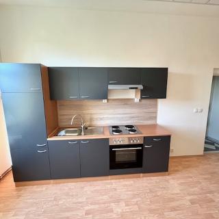 Pronájem bytu 2+1 62 m² Litoměřice, 