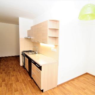 Pronájem bytu 3+1 63 m² Lovosice, 