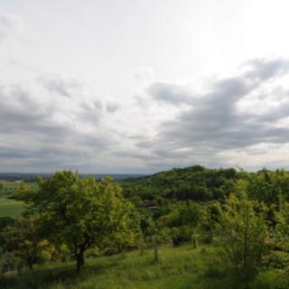Prodej zahrady 873 m² Žitenice