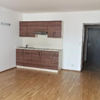 Pronájem bytu 1+kk a garsoniéry 29 m² Litoměřice, 