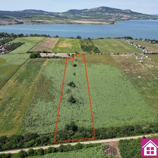 Prodej zemědělské půdy 17 804 m² Přítluky, 