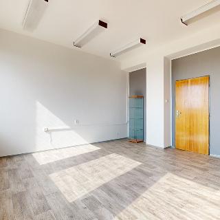 Pronájem kanceláře 25 m² Velké Bílovice, Podivínská