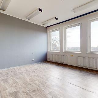 Pronájem kanceláře 25 m² Velké Bílovice, Podivínská