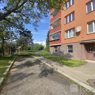 Prodej bytu 3+1 60 m² Karlovy Vary, 