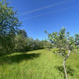 Prodej stavební parcely 1 911 m² Jindřichovice