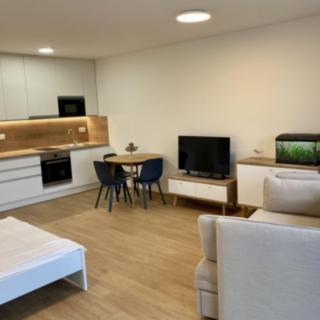 Pronájem bytu 1+kk, garsoniery 48 m² Praha
