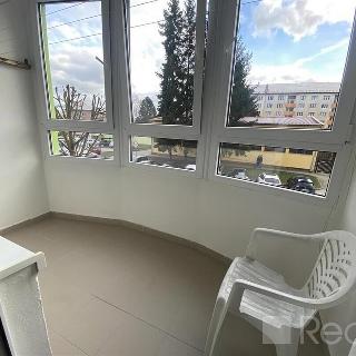 Prodej bytu 2+1 65 m² Horní Slavkov, 