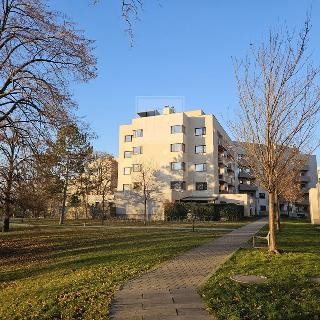 Pronájem bytu 3+kk 74 m² Brno, Kigginsova