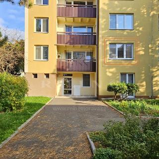 Prodej bytu 1+kk a garsoniéry 32 m² Brno, Kubíkova