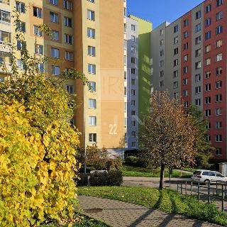 Prodej bytu 1+kk a garsoniéry 31 m² Brno, Spodní