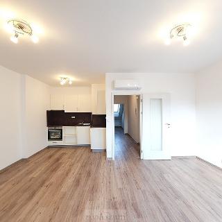 Pronájem bytu 2+kk 61 m² Praha