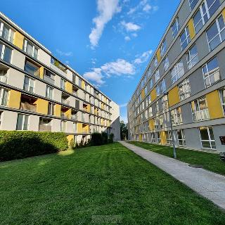 Pronájem bytu 2+kk 53 m² Praha, Zubrnická