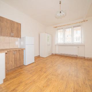 Pronájem bytu 1+kk a garsoniéry 19 m² Mladá Boleslav, Čechova