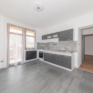 Pronájem bytu 1+1 30 m² Doksy, Jiřího z Poděbrad