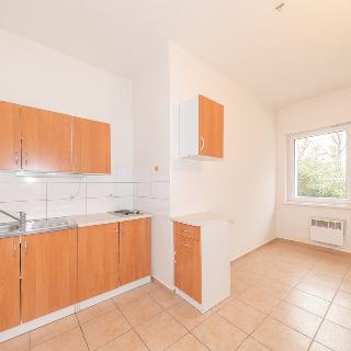 Pronájem bytu 1+1 31 m² Doksy, Lidická