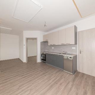 Pronájem bytu 2+kk 58 m² Doksy, Sokolská