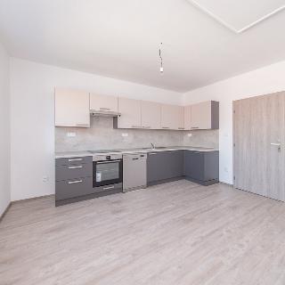 Pronájem bytu 2+kk 56 m² Doksy, Sokolská