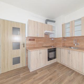 Pronájem bytu 1+1 42 m² Mladá Boleslav, Dvořákova