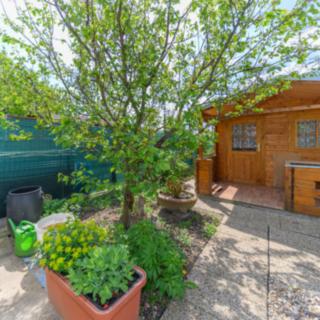 Prodej zahrady 215 m² Mladá Boleslav, Na Radouči