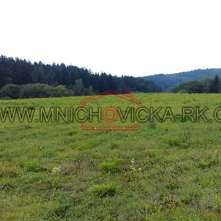 Prodej louky 27 000 m² Mnichovice, Hrusická