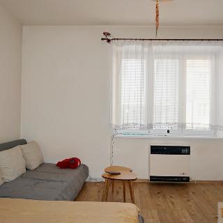 Pronájem bytu 1+1 40 m² Prostějov, Vrahovická