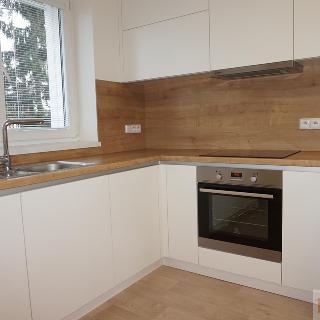 Pronájem bytu 2+kk 52 m² Prostějov, Jezdecká