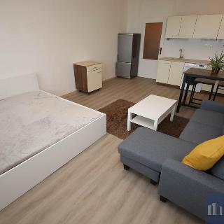 Pronájem bytu 1+kk a garsoniéry 32 m² Havířov, Emy Destinnové