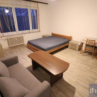 Pronájem bytu 1+1 36 m² Český Těšín, Hornická