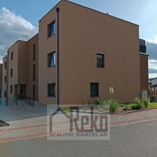 Pronájem bytu 1+kk a garsoniéry 35 m² Beroun, Vinařská