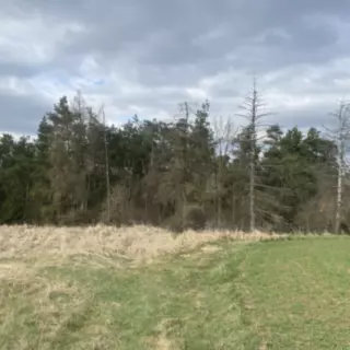 Smazaná nemovitost
