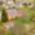 Prodej rodinného domu 280 m² Bohušov, 