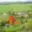 Prodej stavební parcely 4 143 m² Liberk, 