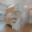 Prodej bytu 3+1 73 m² Moravský Krumlov, Sídliště